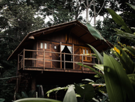 maison en bois